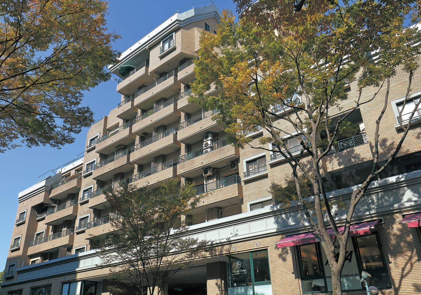 タイルの名古屋モザイク工業（株）／新製品「ポリナーゴ」（外装タイル）